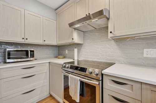 563 Regal Park Ne, Calgary, AB - Indoor Photo Showing Kitchen With Upgraded Kitchen