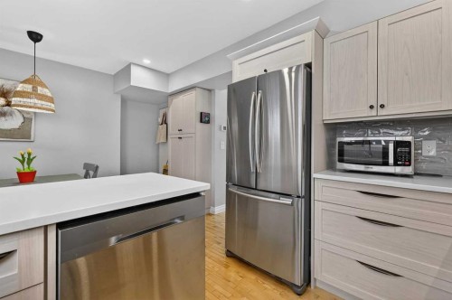 563 Regal Park Ne, Calgary, AB - Indoor Photo Showing Kitchen With Stainless Steel Kitchen