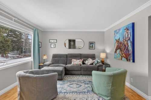 563 Regal Park Ne, Calgary, AB - Indoor Photo Showing Living Room