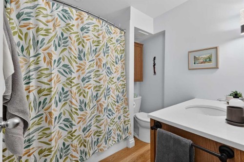 563 Regal Park Ne, Calgary, AB - Indoor Photo Showing Bathroom