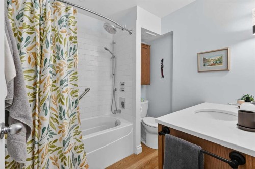 563 Regal Park Ne, Calgary, AB - Indoor Photo Showing Bathroom