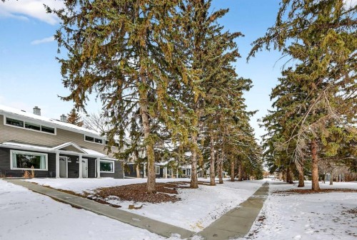 563 Regal Park Ne, Calgary, AB - Outdoor