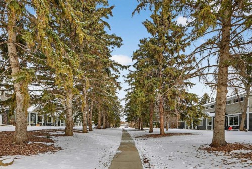 563 Regal Park Ne, Calgary, AB - Outdoor