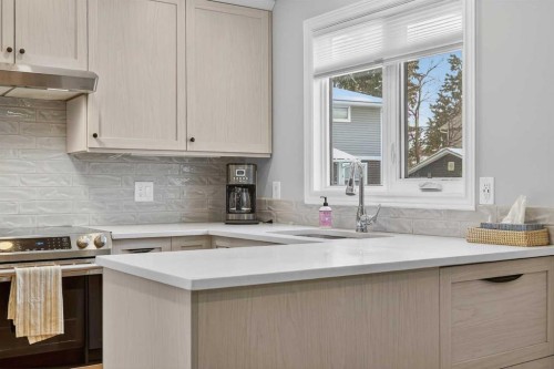 563 Regal Park Ne, Calgary, AB - Indoor Photo Showing Kitchen With Upgraded Kitchen