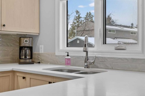 563 Regal Park Ne, Calgary, AB - Indoor Photo Showing Kitchen With Double Sink