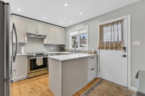 563 Regal Park Ne, Calgary, AB - Indoor Photo Showing Kitchen With Stainless Steel Kitchen With Upgraded Kitchen