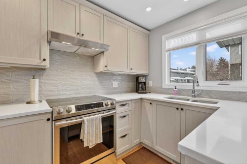 563 Regal Park Ne, Calgary, AB - Indoor Photo Showing Kitchen With Stainless Steel Kitchen With Double Sink With Upgraded Kitchen
