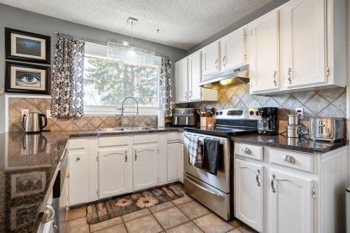 13 Maplewood Estates, Strathmore, AB - Indoor Photo Showing Kitchen With Double Sink