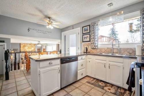 13 Maplewood Estates, Strathmore, AB - Indoor Photo Showing Kitchen With Double Sink