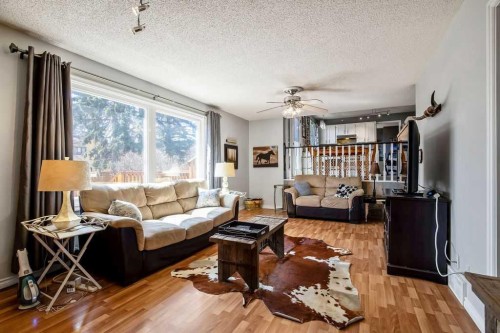 13 Maplewood Estates, Strathmore, AB - Indoor Photo Showing Living Room