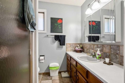 13 Maplewood Estates, Strathmore, AB - Indoor Photo Showing Bathroom