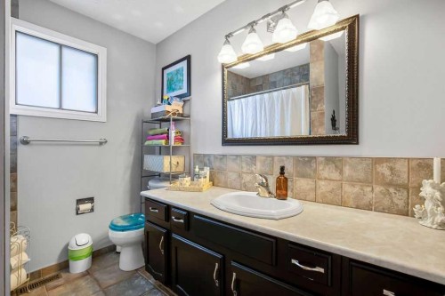 13 Maplewood Estates, Strathmore, AB - Indoor Photo Showing Bathroom