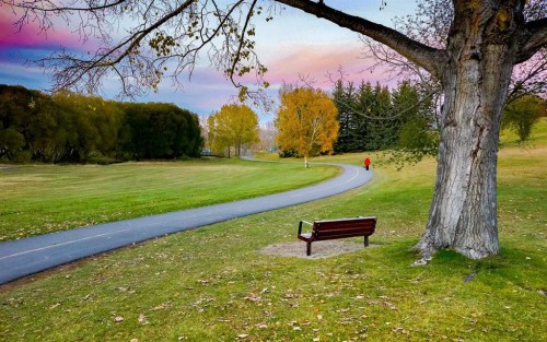 1009 18 Avenue Nw, Calgary, AB - Outdoor With View