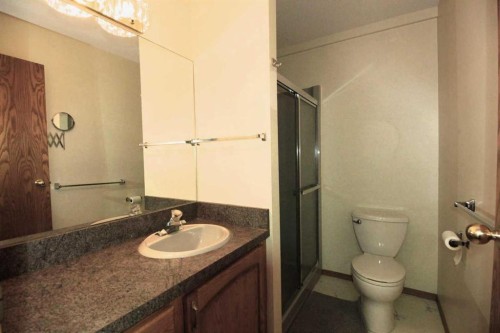 59 Edgebrook Circle Nw, Calgary, AB - Indoor Photo Showing Bathroom