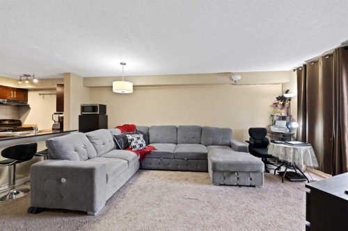 404-355 Taralake Way Ne, Calgary, AB - Indoor Photo Showing Living Room