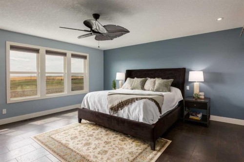 308 Rainbow Falls Way, Chestermere, AB - Indoor Photo Showing Bedroom