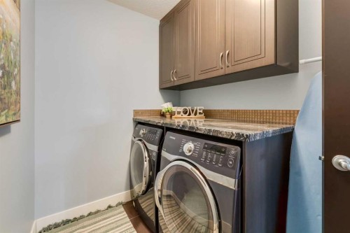308 Rainbow Falls Way, Chestermere, AB - Indoor Photo Showing Laundry Room