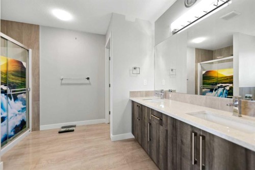 439 Bayview Way Sw, Airdrie, AB - Indoor Photo Showing Bathroom