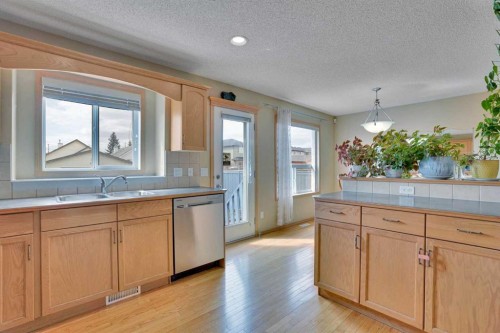 75 Taralea Crescent Ne, Calgary, AB - Indoor Photo Showing Kitchen With Double Sink