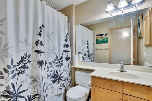 75 Taralea Crescent Ne, Calgary, AB - Indoor Photo Showing Bathroom
