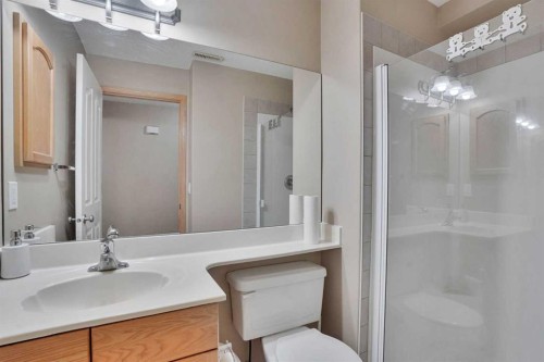 75 Taralea Crescent Ne, Calgary, AB - Indoor Photo Showing Bathroom