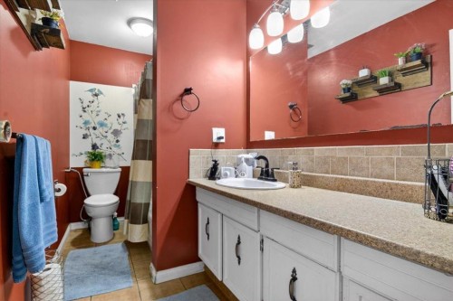 256 Callingwood Place Nw, Edmonton, AB - Indoor Photo Showing Bathroom