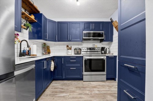 256 Callingwood Place Nw, Edmonton, AB - Indoor Photo Showing Kitchen With Upgraded Kitchen