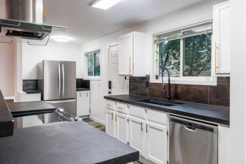 92 Erin Woods Drive Se, Calgary, AB - Indoor Photo Showing Kitchen With Double Sink