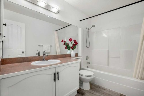 195 Somerglen Common Sw, Calgary, AB - Indoor Photo Showing Bathroom