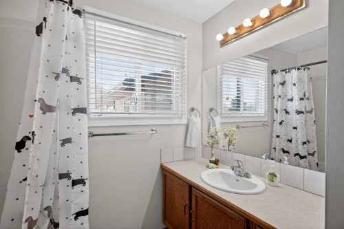 116 Templemont Circle Ne, Calgary, AB - Indoor Photo Showing Bathroom