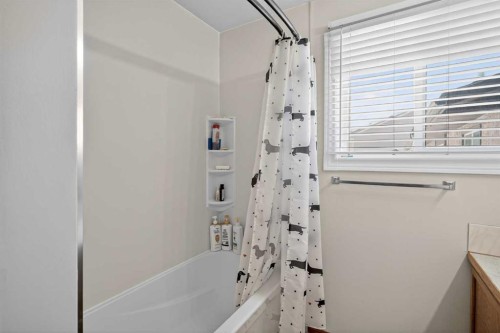 116 Templemont Circle Ne, Calgary, AB - Indoor Photo Showing Bathroom
