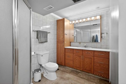 116 Templemont Circle Ne, Calgary, AB - Indoor Photo Showing Bathroom