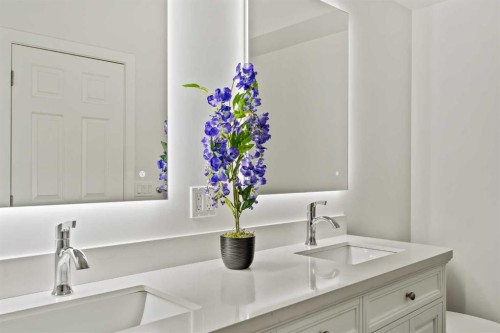 16 Douglasview Park Se, Calgary, AB - Indoor Photo Showing Bathroom