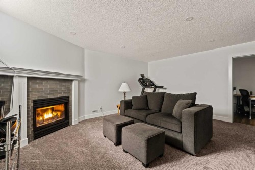 16 Douglasview Park Se, Calgary, AB - Indoor Photo Showing Living Room With Fireplace