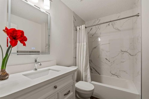 16 Douglasview Park Se, Calgary, AB - Indoor Photo Showing Bathroom