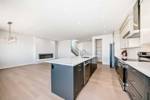 396 Herron Landing Ne, Calgary, AB - Indoor Photo Showing Kitchen With Upgraded Kitchen