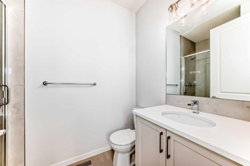 396 Herron Landing Ne, Calgary, AB - Indoor Photo Showing Bathroom