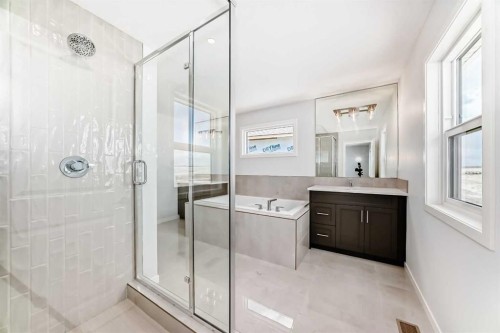 396 Herron Landing Ne, Calgary, AB - Indoor Photo Showing Bathroom