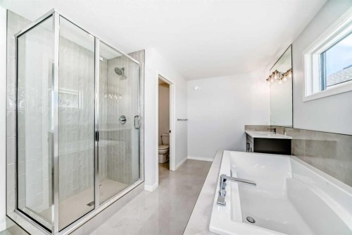 396 Herron Landing Ne, Calgary, AB - Indoor Photo Showing Bathroom