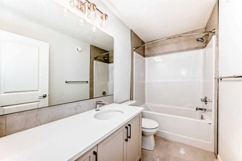 396 Herron Landing Ne, Calgary, AB - Indoor Photo Showing Bathroom