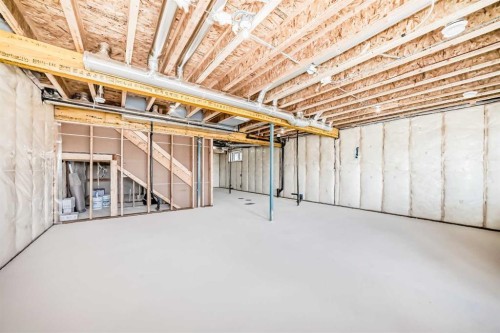 396 Herron Landing Ne, Calgary, AB - Indoor Photo Showing Basement
