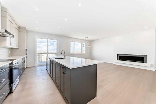 396 Herron Landing Ne, Calgary, AB - Indoor Photo Showing Kitchen With Upgraded Kitchen