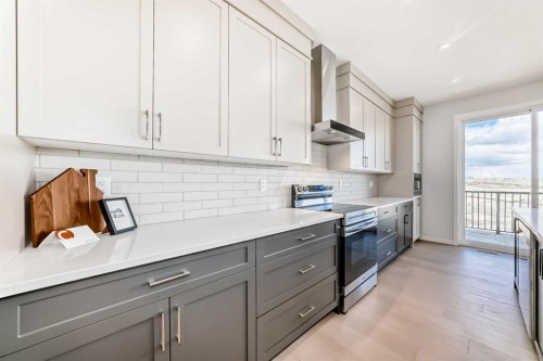 396 Herron Landing Ne, Calgary, AB - Indoor Photo Showing Kitchen With Upgraded Kitchen