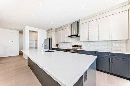 396 Herron Landing Ne, Calgary, AB - Indoor Photo Showing Kitchen With Upgraded Kitchen