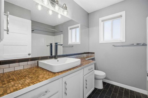 28 Covington Close Ne, Calgary, AB - Indoor Photo Showing Bathroom