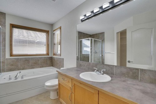 43 Elgin View Se, Calgary, AB - Indoor Photo Showing Bathroom