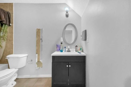 9219 Saddlebrook Drive Ne, Calgary, AB - Indoor Photo Showing Bathroom