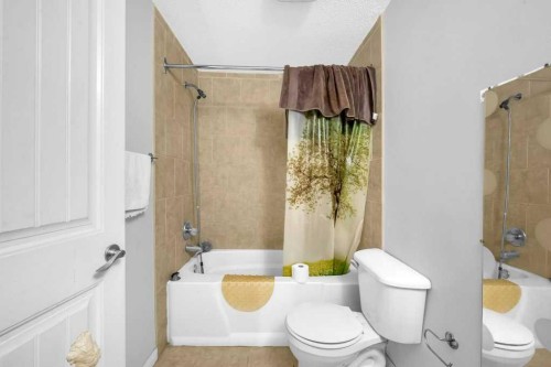 9219 Saddlebrook Drive Ne, Calgary, AB - Indoor Photo Showing Bathroom