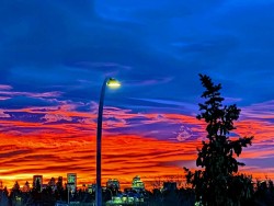 411-3101 34 Avenue NW Calgary, AB T2L 2A3