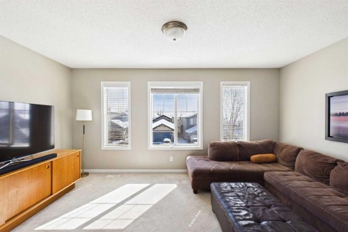216 Covepark Green Ne, Calgary, AB - Indoor Photo Showing Living Room